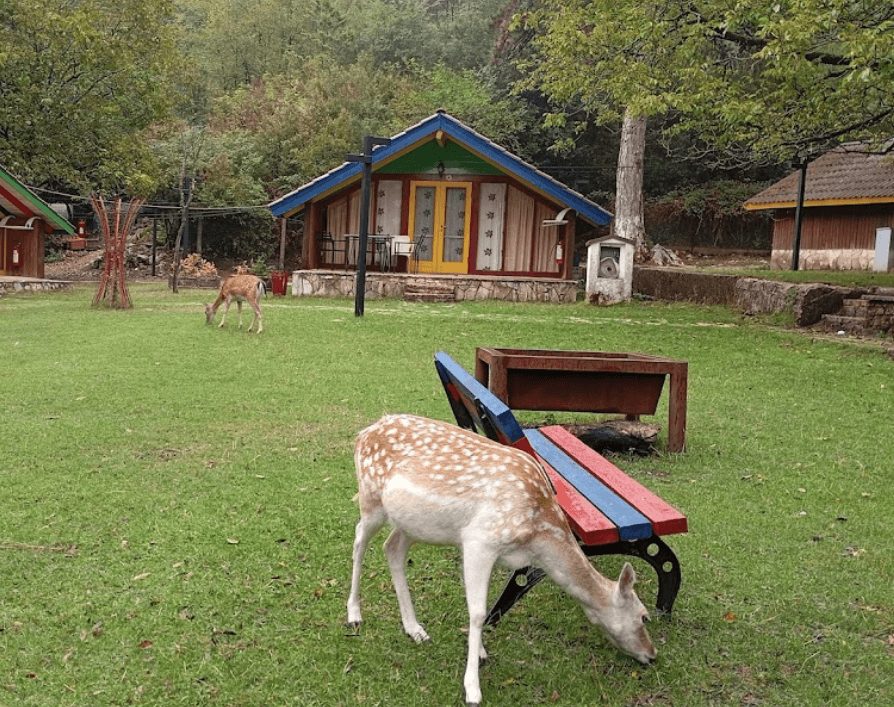 National Parks of Albania: Theth, Valbona & Llogara (2026)