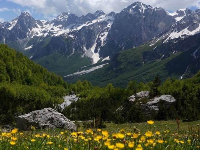 Valbona valley in spring with wildflowers and snow-capped peaks