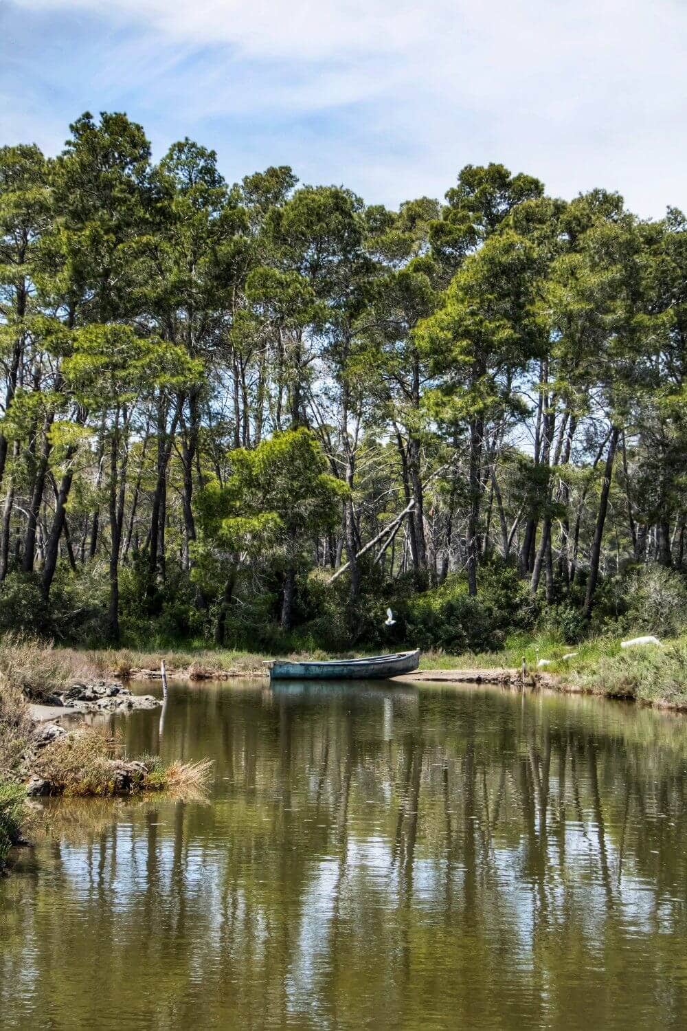 Divjake-Karavasta Lagoon, home to Dalmatian pelicans, Albania