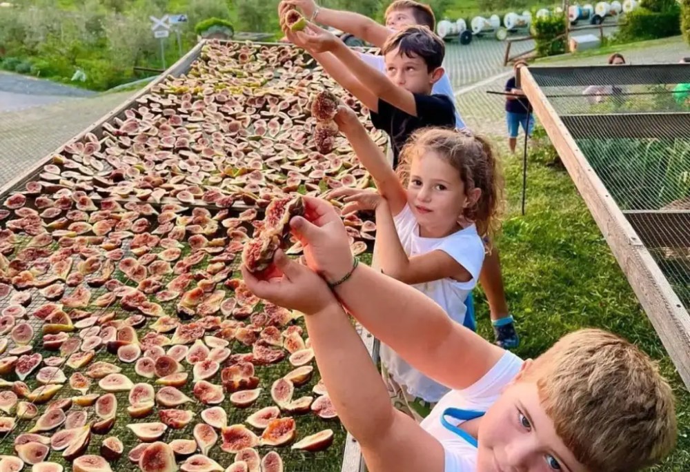 Albania All-Inclusive Family Vacation (2026): Not a Resort, an Adventure