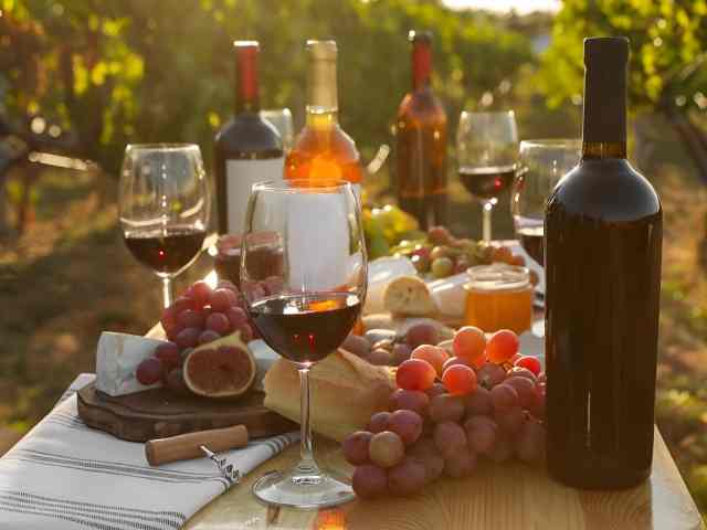 Albanian wine tasting with local cheese, figs and grapes in a vineyard