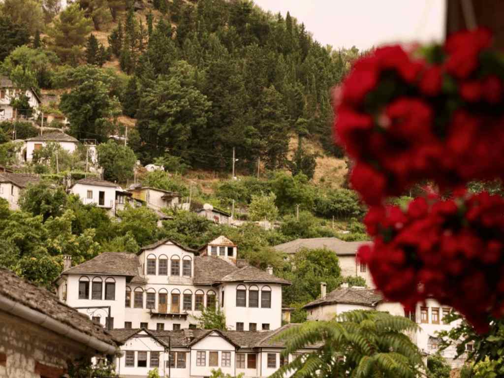 View of the stone houses of Gjirokastra on the hillside with red flowers in the foreground