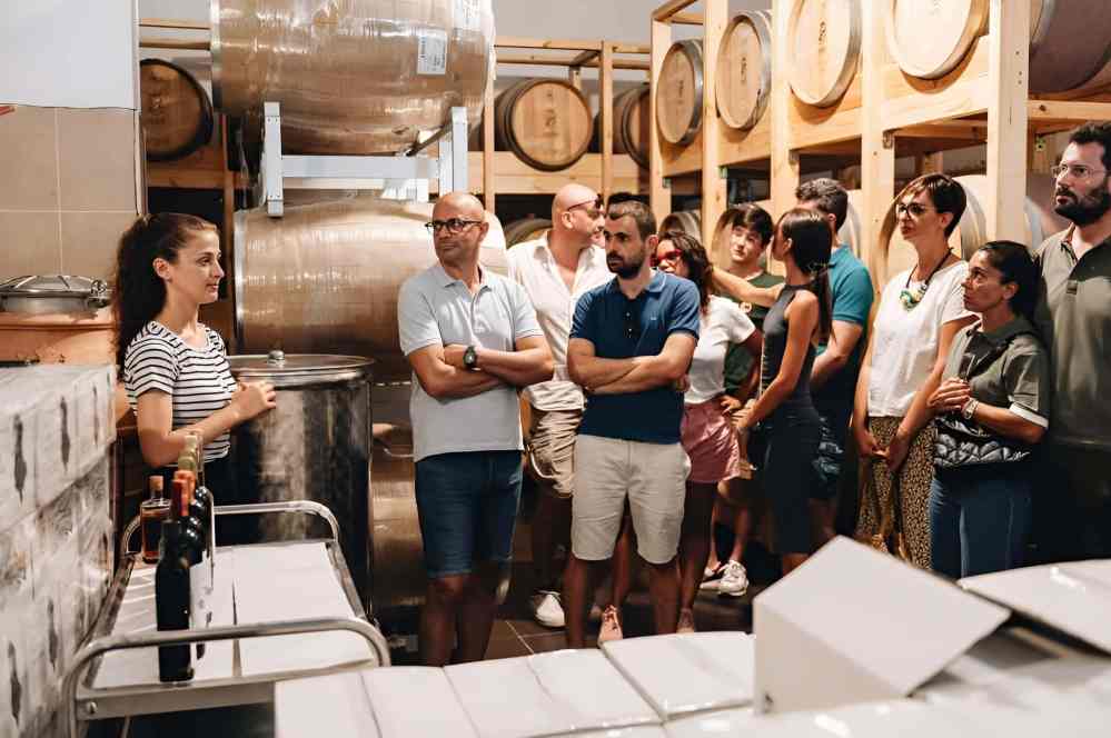 Host presenting wine to a group during a tasting at a family winery in Albania