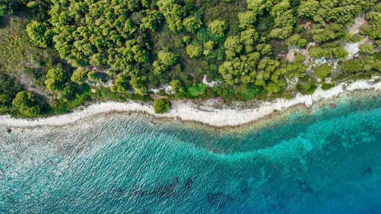 Aerial view of the forested coastline and clear turquoise water of the Karaburun Peninsula near Vlora