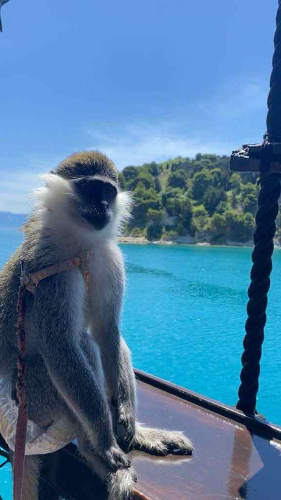 A carved monkey mascot sitting on the rail of the wooden pirate-style boat on a Vlora boat tour