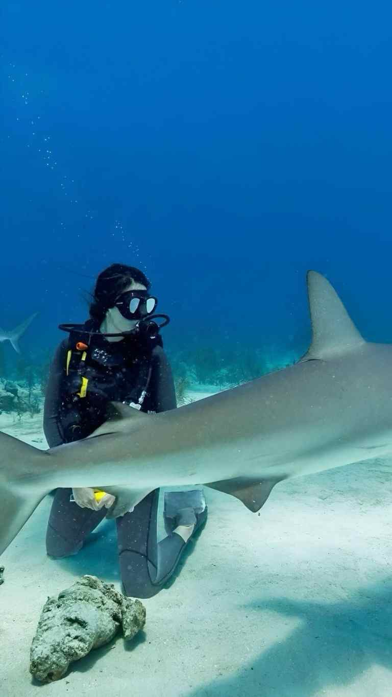 Scuba diver beside a reef shark and a sea turtle resting on the seabed in Albania