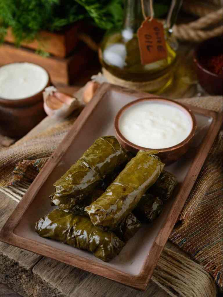 Japrak, stuffed vine leaves with yogurt, made in a Shkodra cooking class