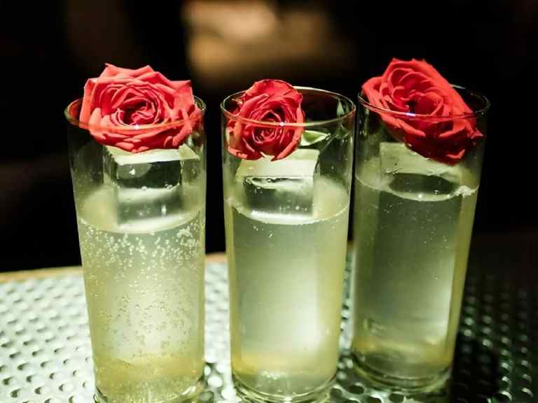 Three cocktails garnished with roses served at a bar on a Tirana pub crawl